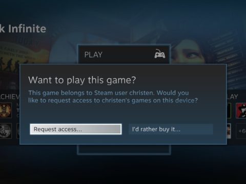 (If you are playing on the same PC as another Steam user, you can also request access directly.)